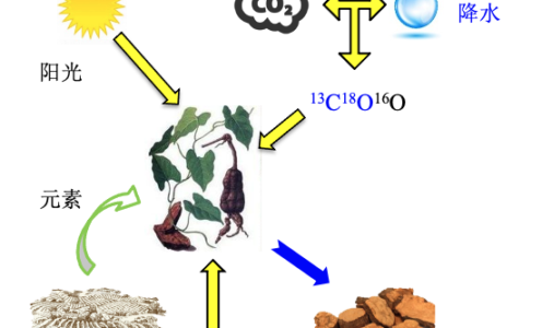 Traditional Chinese Medicine (TCM) Traceability Project